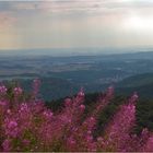 Blick auf Bad Lauterberg