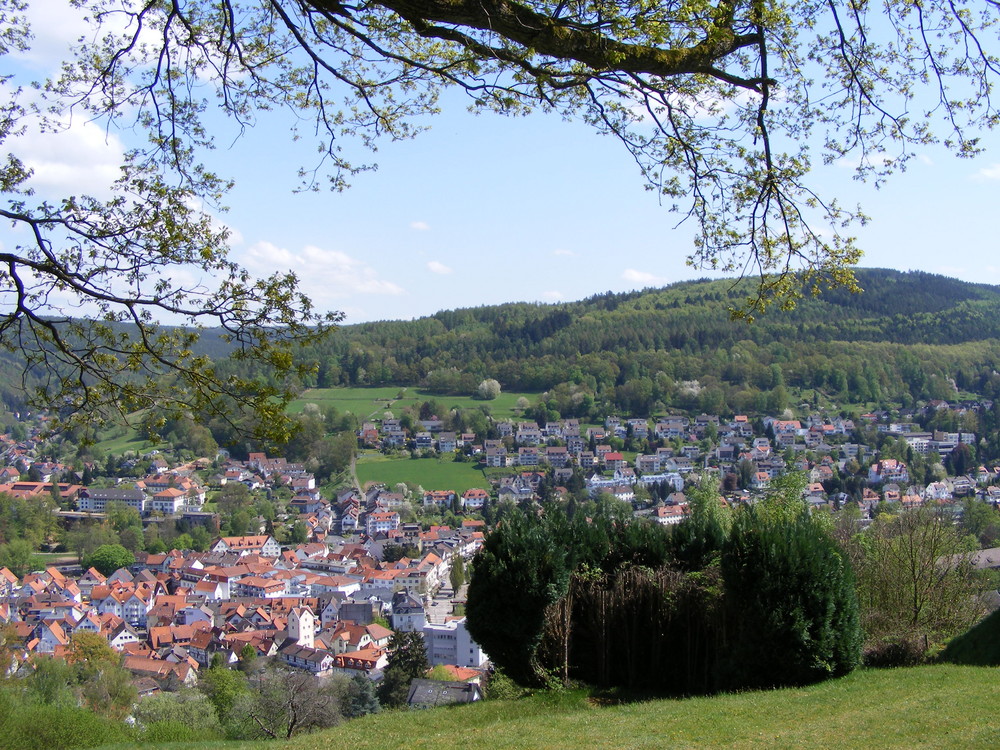 Blick auf Bad Orb (Spessart)