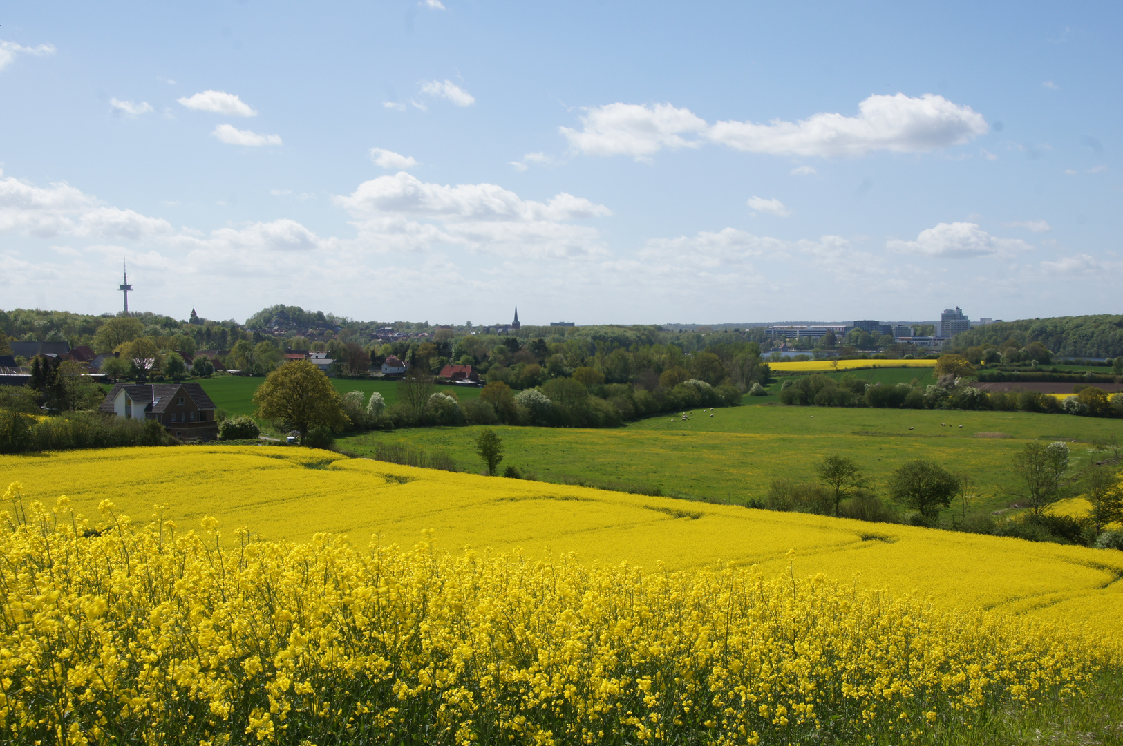 Blick auf Bad Segeberg