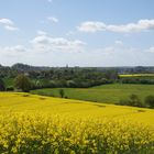 Blick auf Bad Segeberg