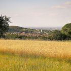 Blick auf Bad Vöslau II