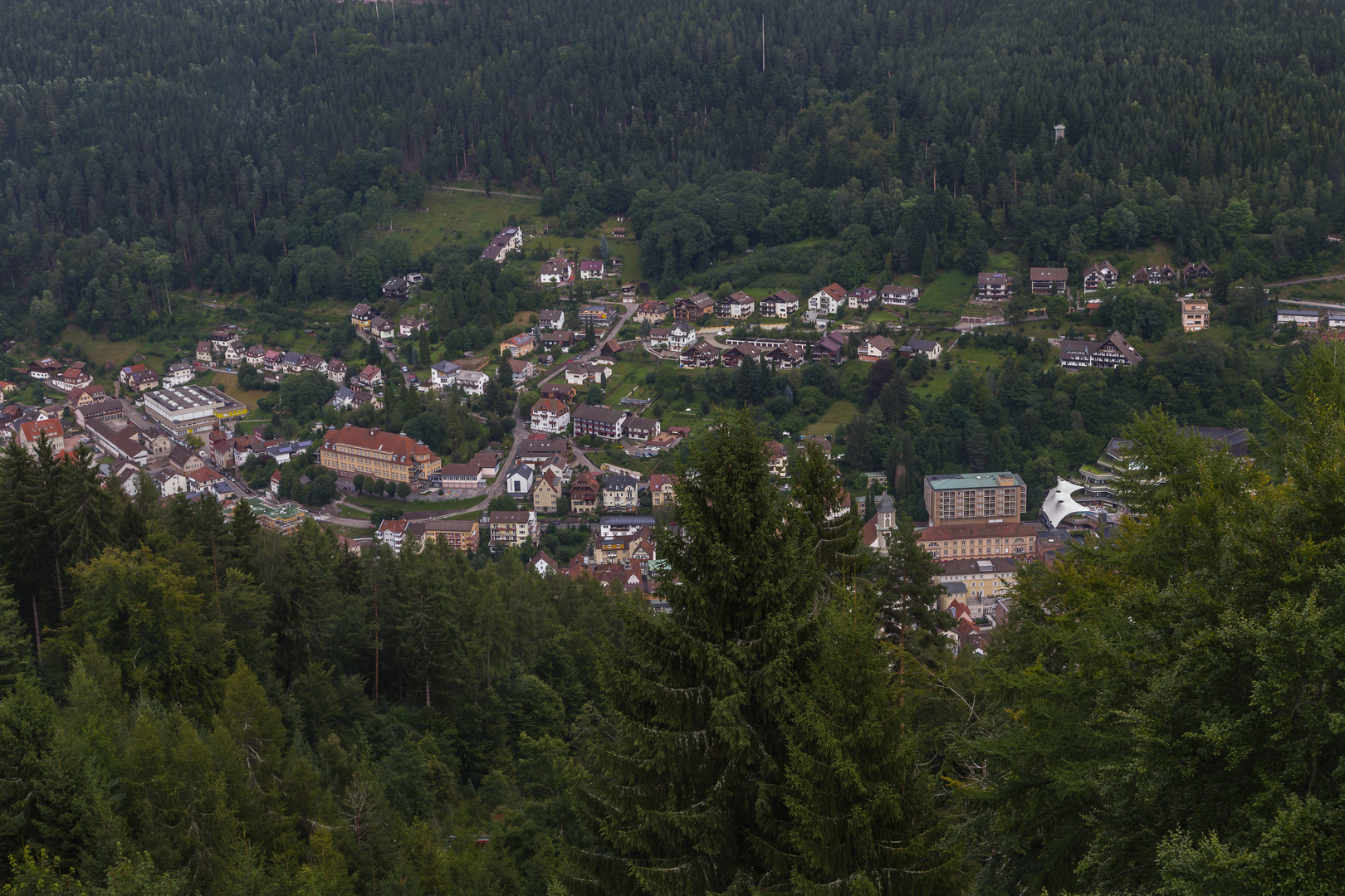 Blick auf Bad Wildbad