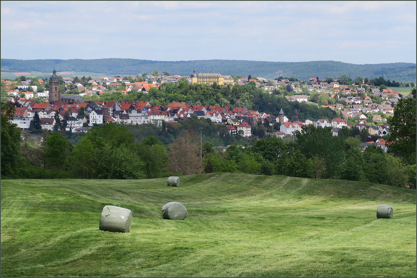 Blick auf Bad Wildungen