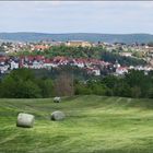 Blick auf Bad Wildungen