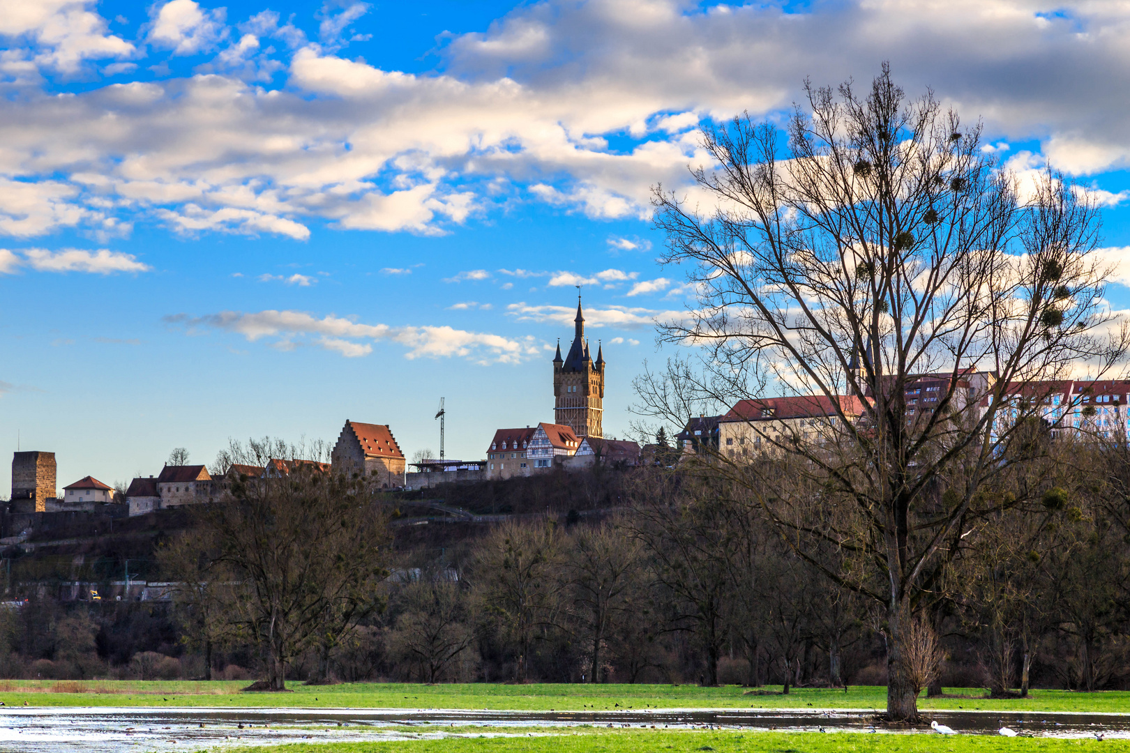 Blick auf Bad Wimpfen #2