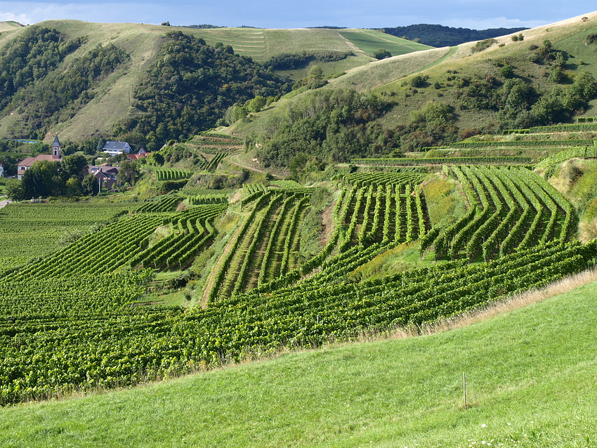 Blick auf Badberg und Altvogtsburg