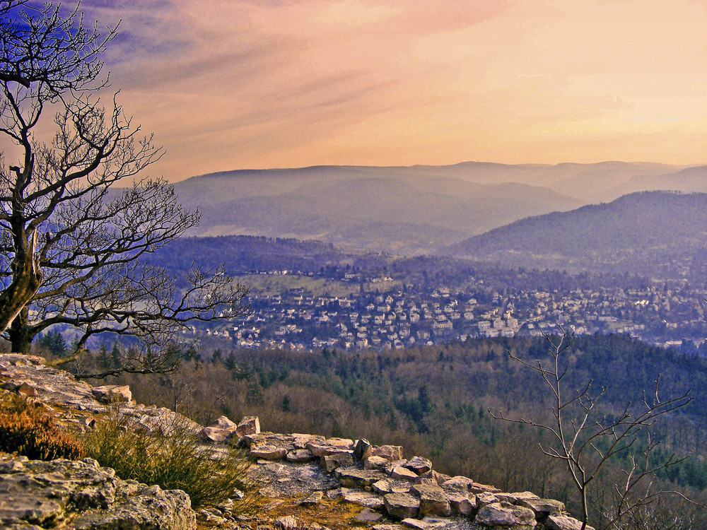 Blick auf Baden-Baden