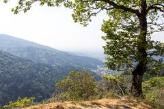 Blick auf Badenweiler