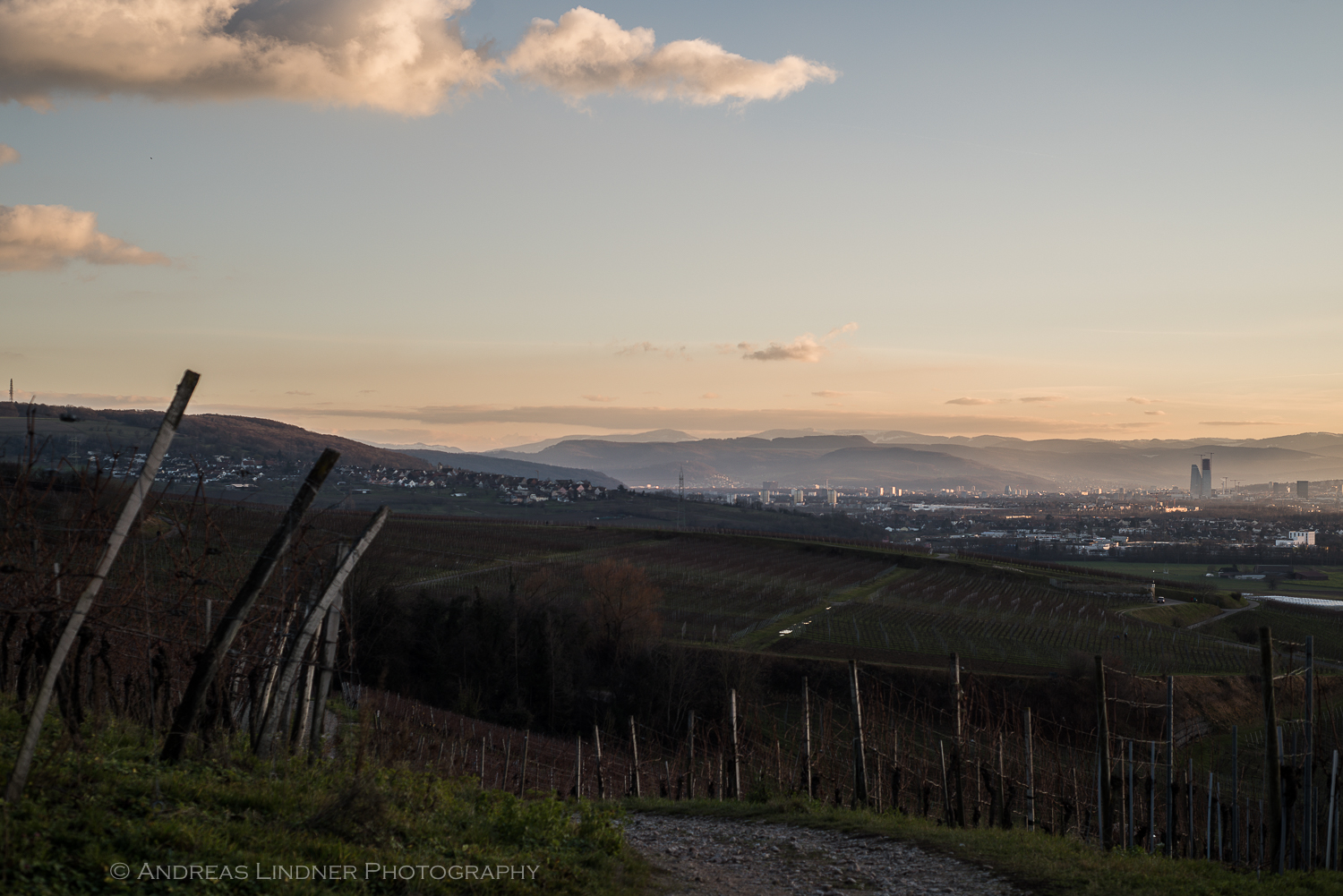 Blick auf Basel