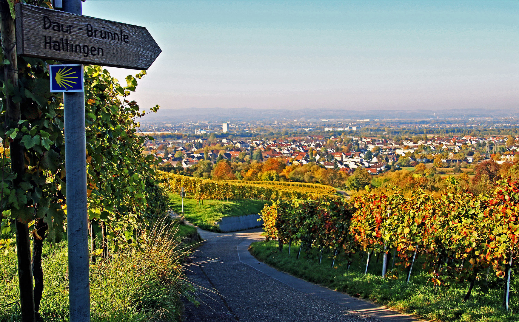 Blick auf Basel