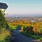 Blick auf Basel