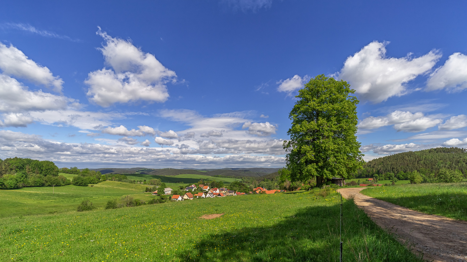 Blick auf Bechstedt in Thüringen