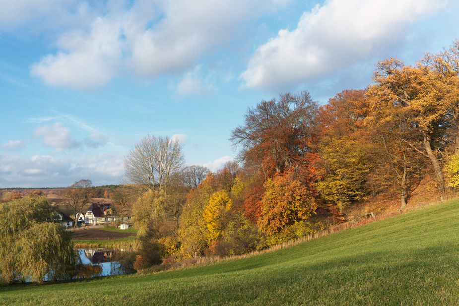 Blick auf Bellin