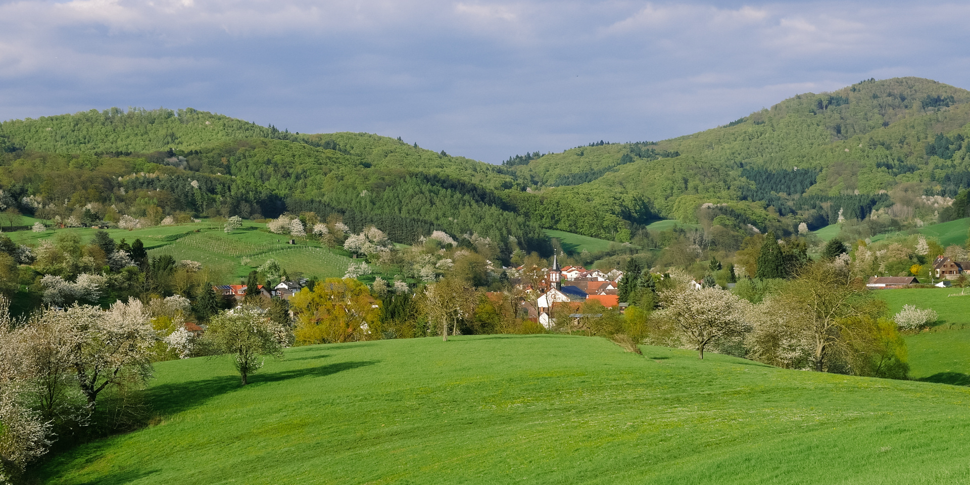 Blick auf Bensheim-Gronau 2016