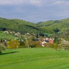 Blick auf Bensheim-Gronau 2016