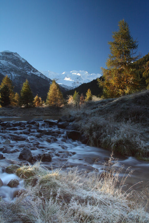 Blick auf Bernina