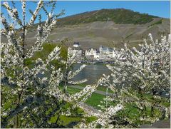 Blick auf Bernkastel an der Mosel