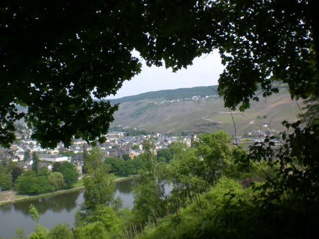 Blick auf Bernkastel-Kues