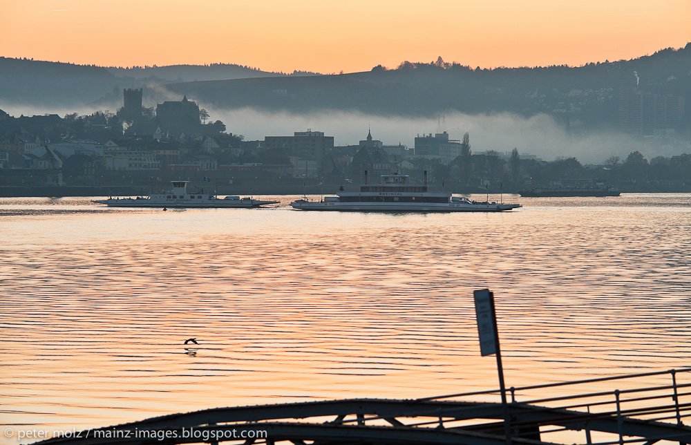 Blick auf Bingen / Nov. 2011