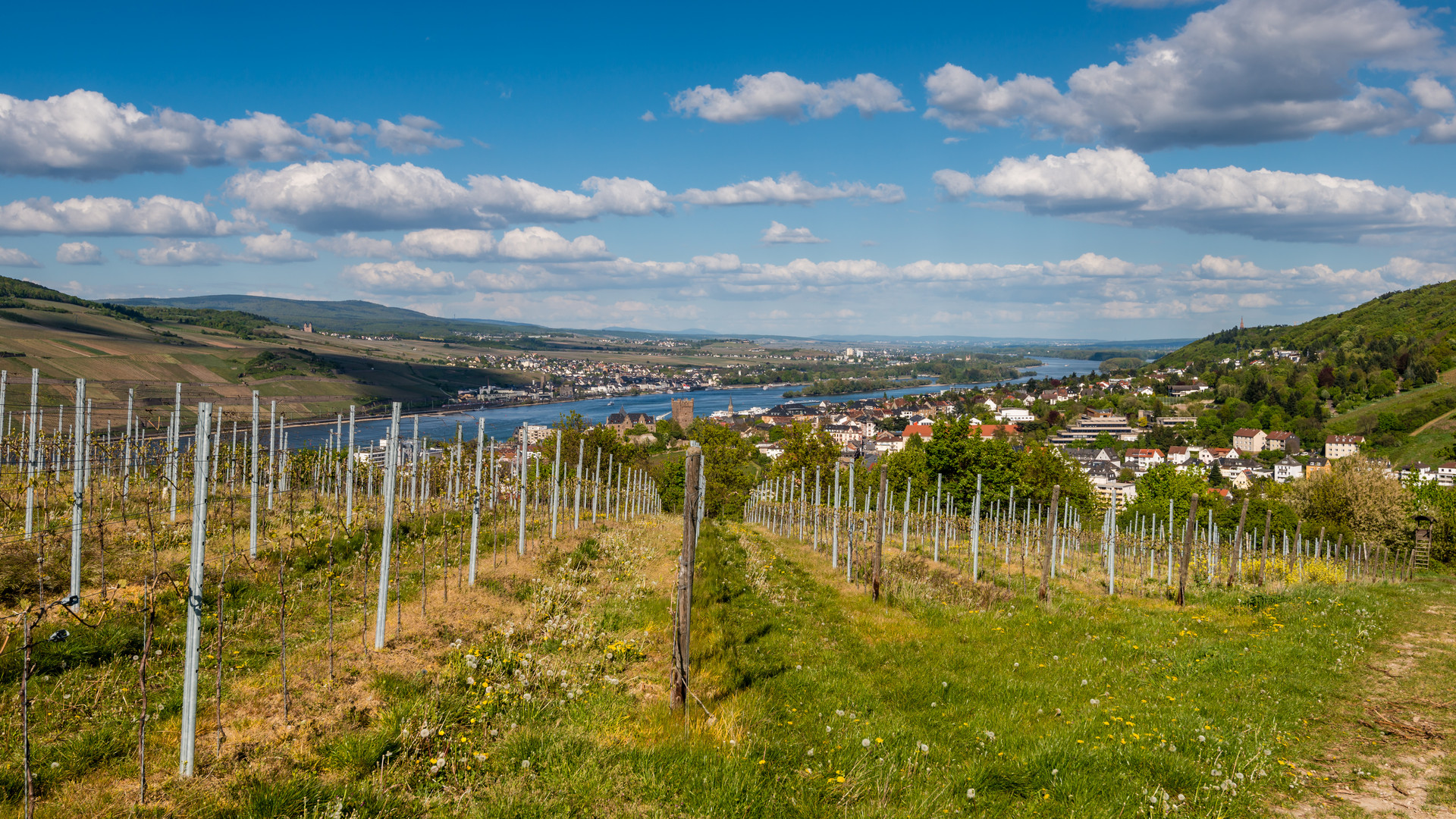 Blick auf Bingen von "In der Lück"