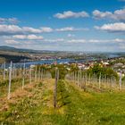 Blick auf Bingen von "In der Lück"