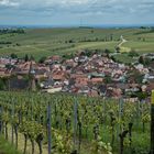 Blick auf Birkweiler in der Südlichen Weinstrasse