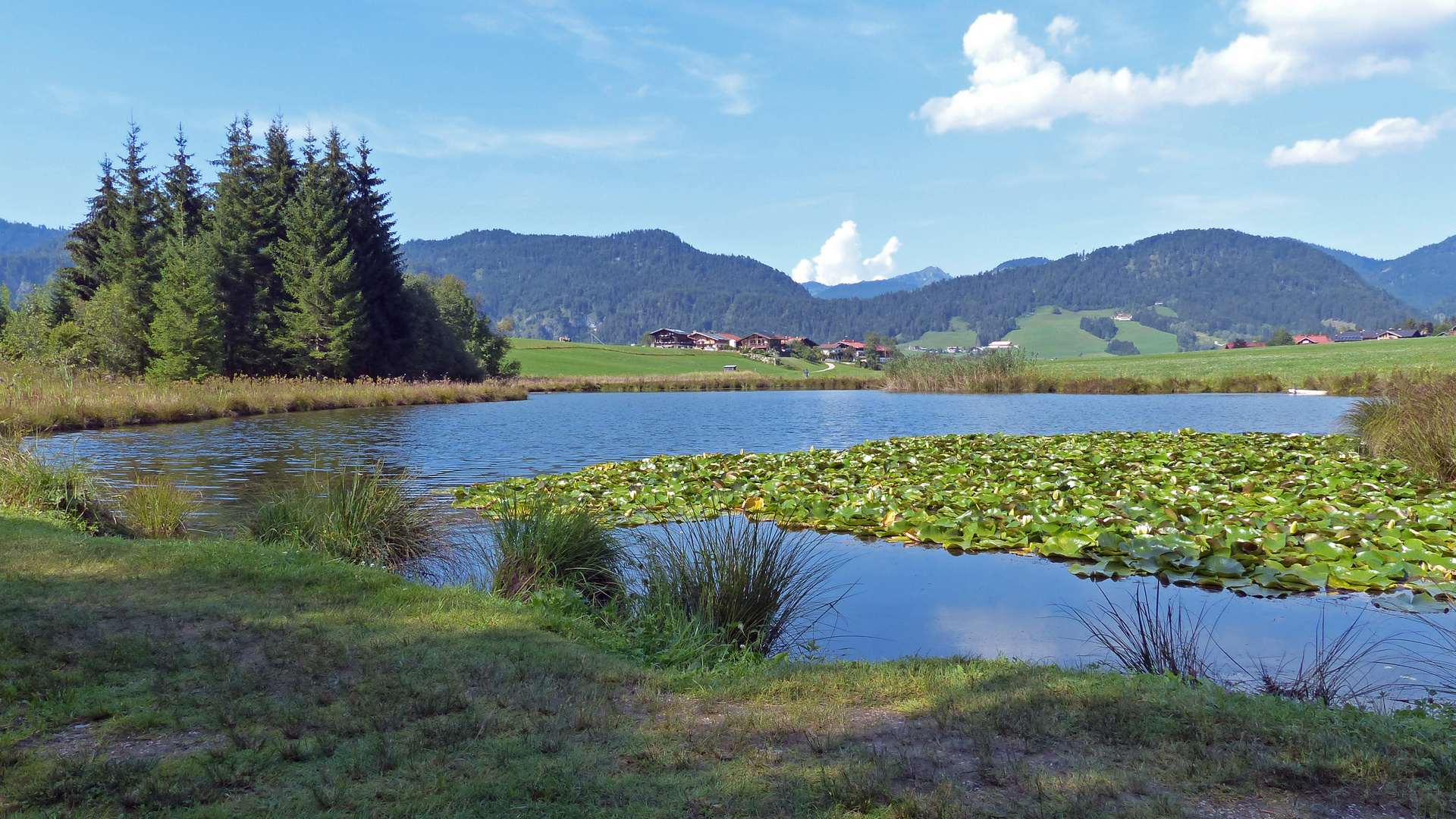 Blick auf Blindau