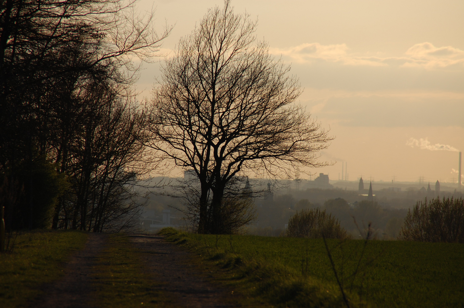 Blick auf Bochum-Riemke