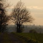 Blick auf Bochum-Riemke