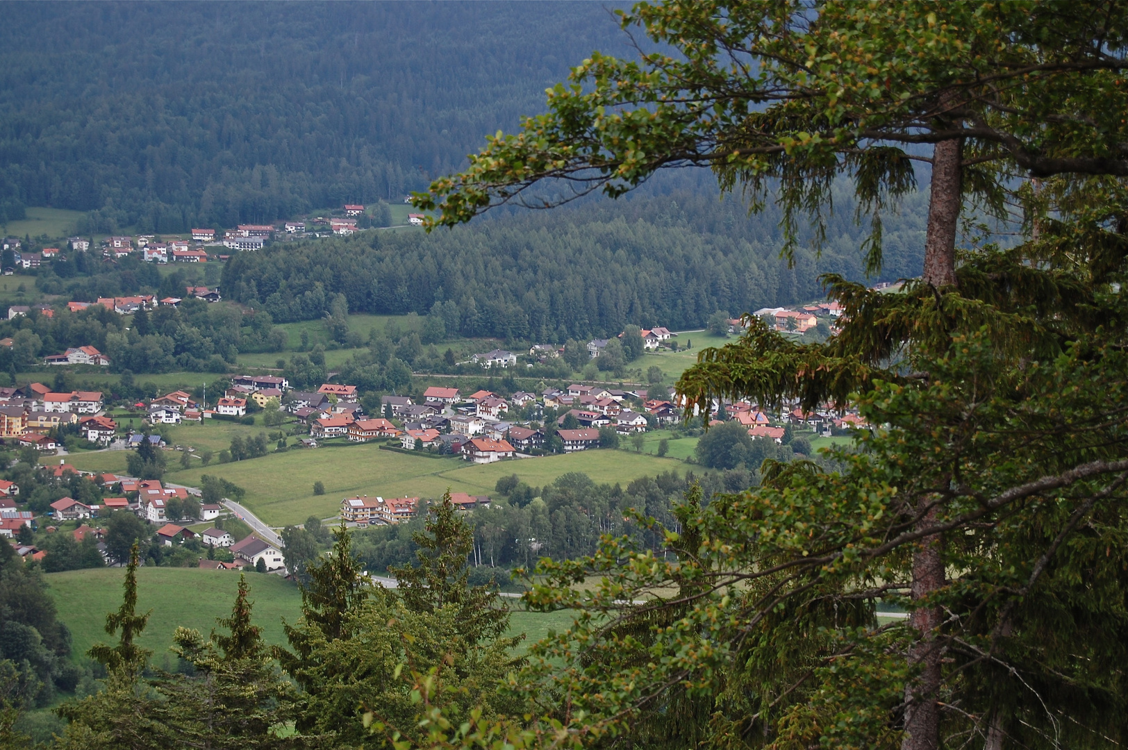 Blick auf Bodenmais vom Riederinfelsen