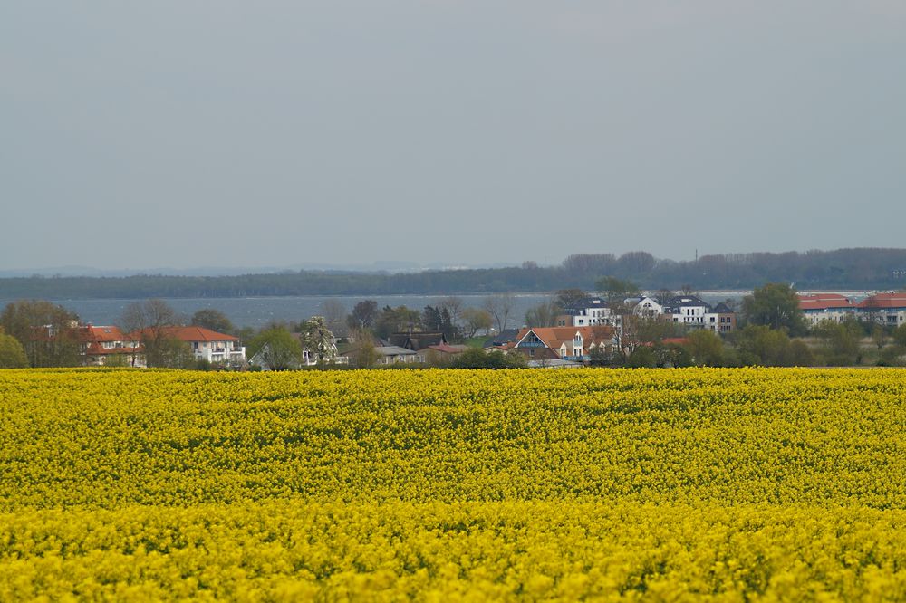 Blick auf Boltenhagen