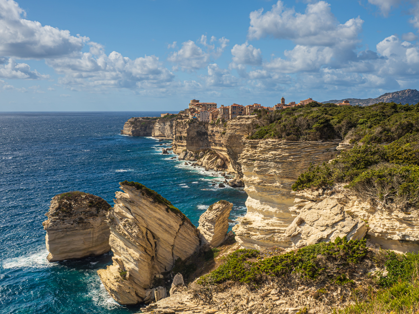 Blick auf Bonifacio (2)