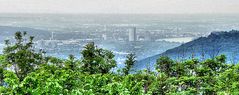 Blick auf Bonn