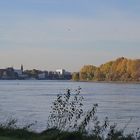 Blick auf Bonn