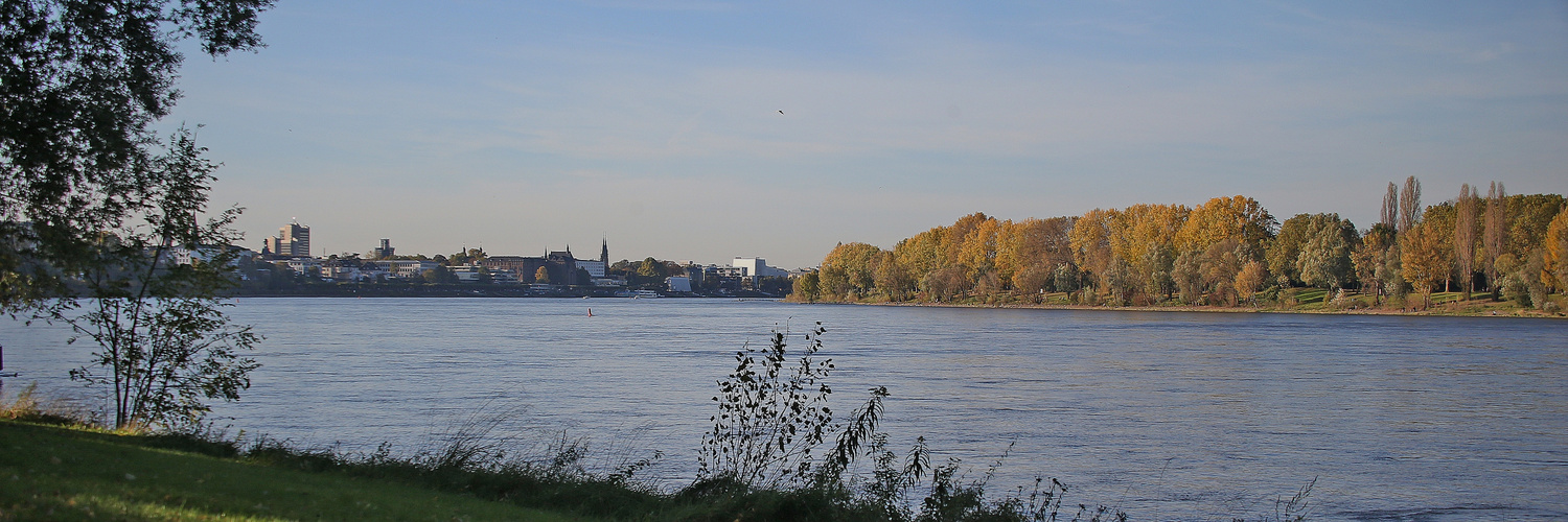 Blick auf Bonn