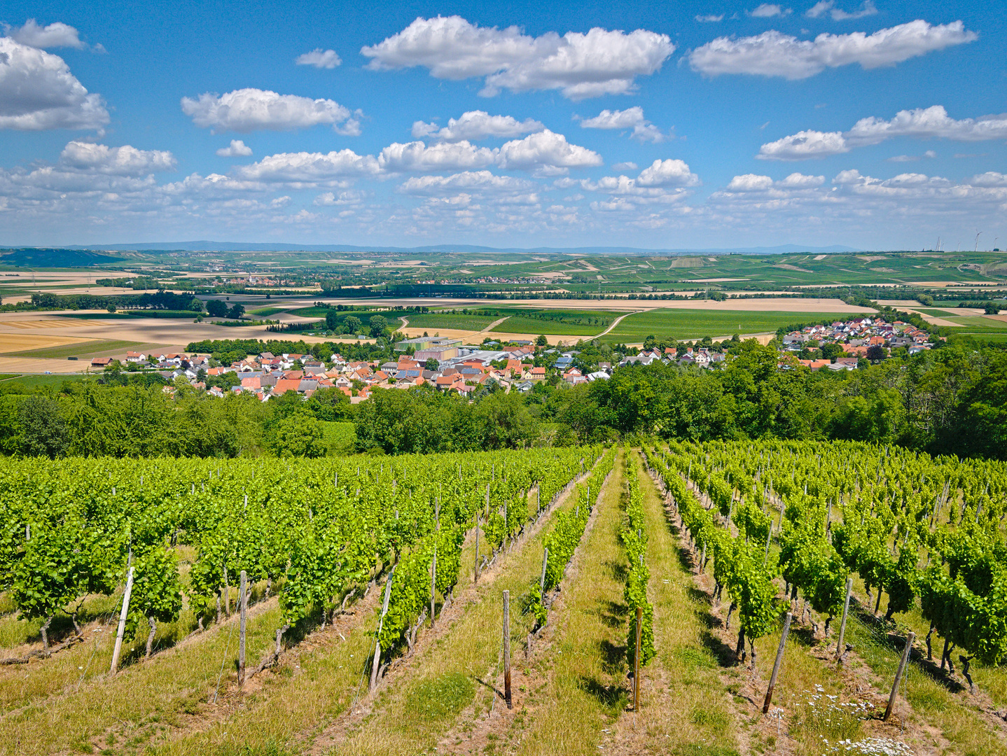 Blick auf Bornheim vom Weinbergsturm