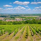 Blick auf Bornheim vom Weinbergsturm