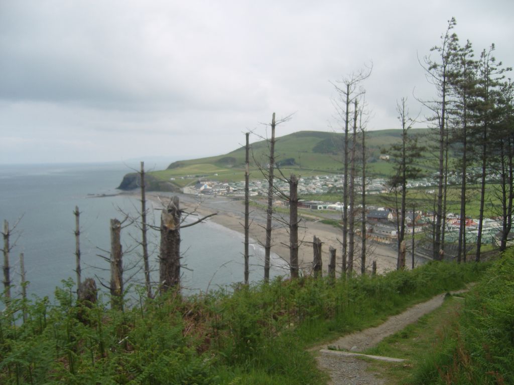 Blick auf Borth in Wales