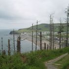 Blick auf Borth in Wales