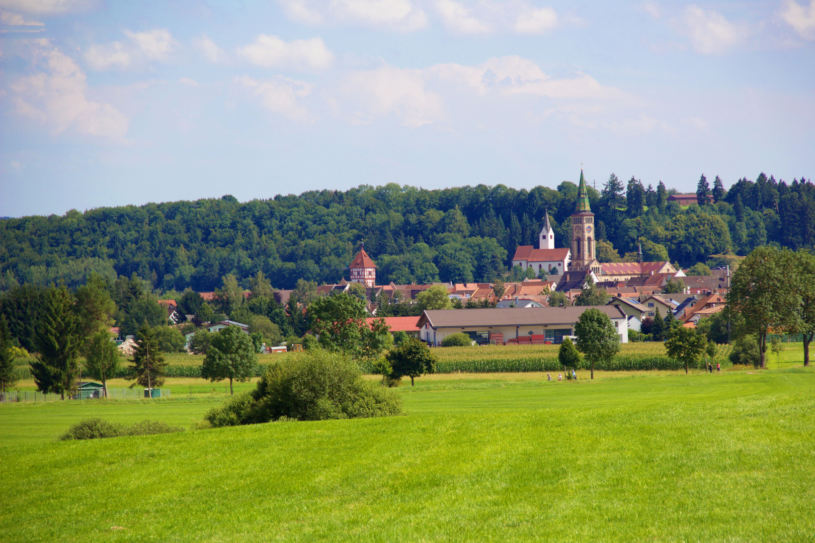 Blick auf Bräunlingen