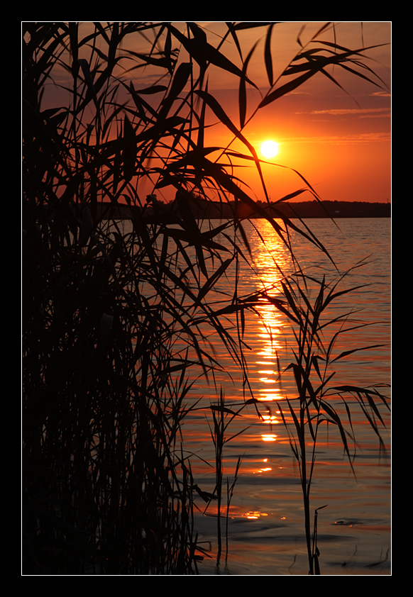 Blick auf Brandenburger Seen 7 ....