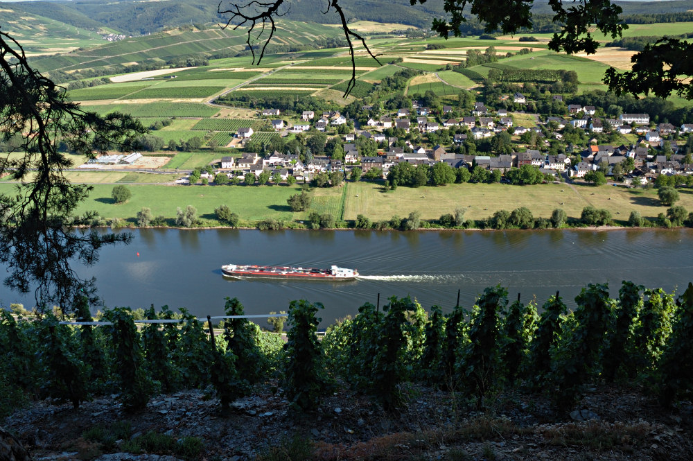 Blick auf Brauneberg