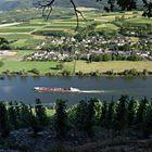 Blick auf Brauneberg