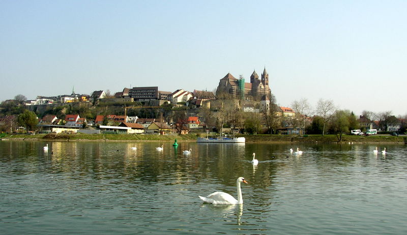 Blick auf Breisach am Rhein.