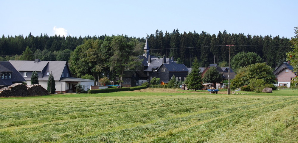 Blick auf Brennersgrün