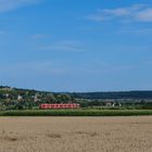 Blick auf Bubenheim