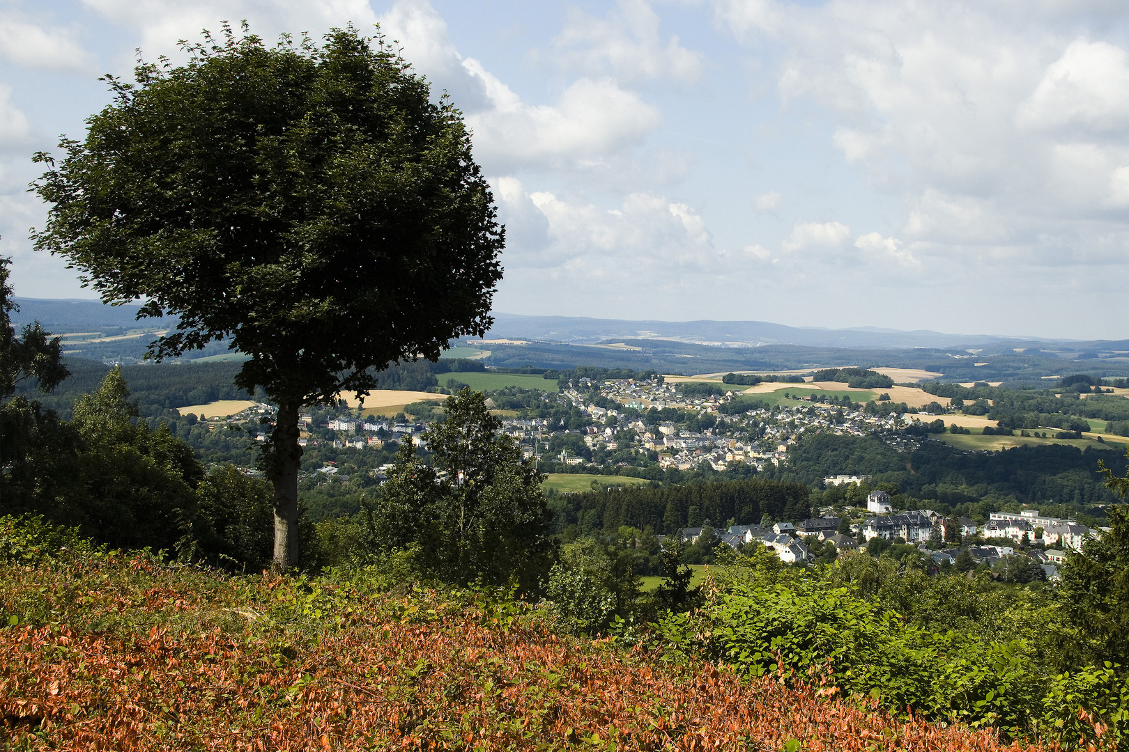 Blick auf Buchholz