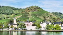 Blick auf Bullay/Mosel