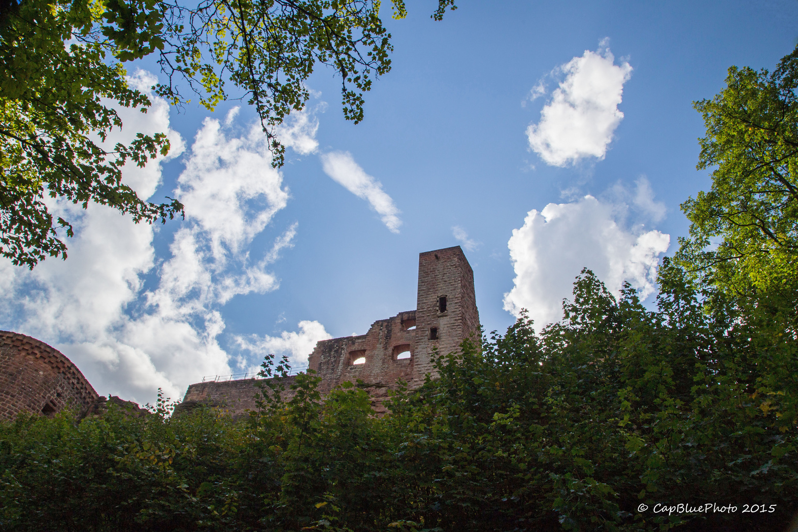 Blick auf Burg Altdahn Grafendahn Tanstein