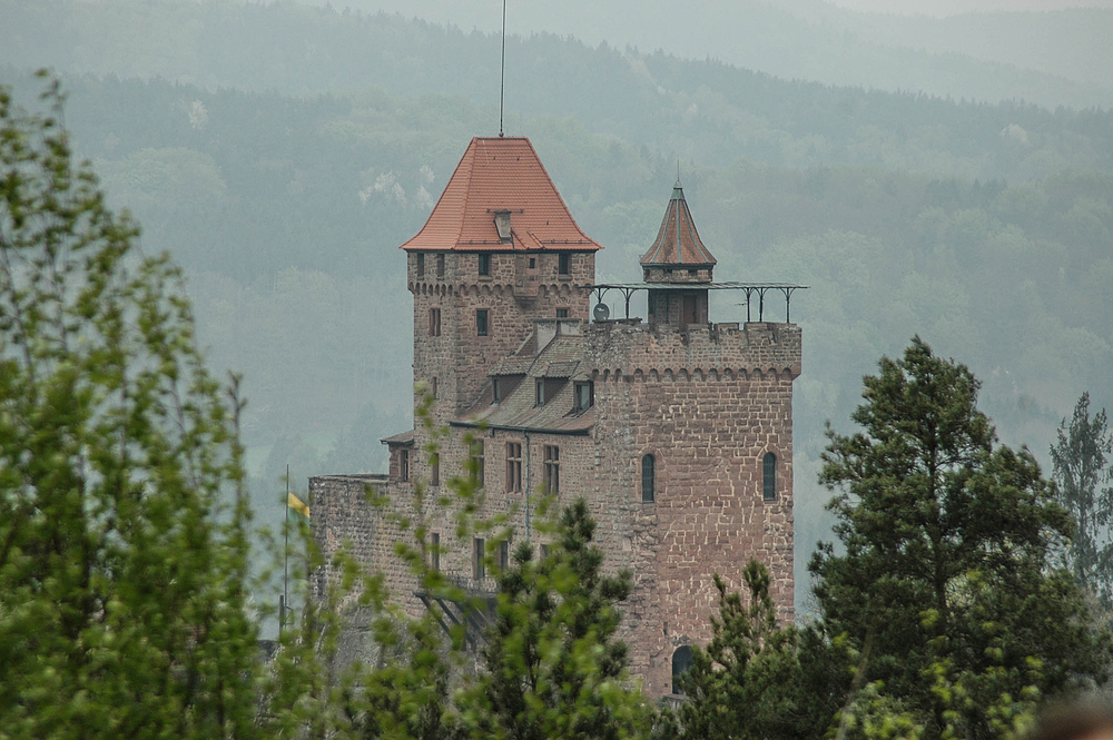 Blick auf Burg Berwartstein